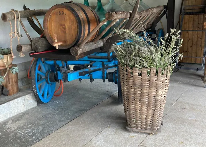 Amélie Mošćenička Draga